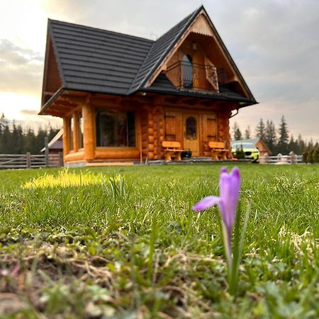 Domek Góralski Baciarka Witów Zewnętrze zdjęcie